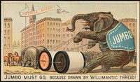             Jumbo must go, because drawn by Willimantic thread! America ahead!          