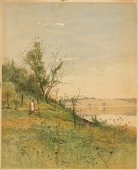             Spring landscape          