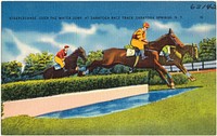             Steeplechase, over the water jump, at Saratoga Race Track, Saratoga Springs, N. Y.          