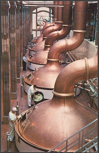            The Brew House at Pabst's Milwaukee brewery          