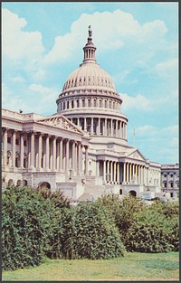             The United States Capitol, Washington, D. C.          