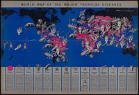             World map of the major tropical diseases          