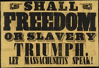             Shall freedom or slavery triumph : Let Massachusetts speak!          