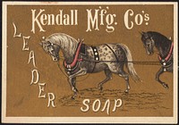             Kendall M'f'g Co.'s Leader Soap          