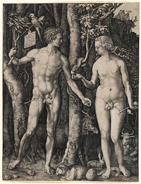             Adam and Eve          