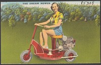             The dream mower          
