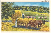             Harvesting hay onto a horse-drawn cart          