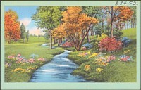             Tree and flower-lined river          