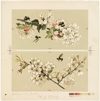             Apple-blossoms and bees / Cherry blossoms and bees           by Olive E. Whitney