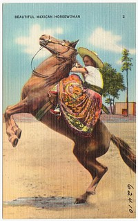             Beautiful Mexican horsewoman          