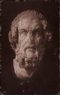             Head of Homer, Hellenistic. Museum of Fine Arts, Boston, Mass.          