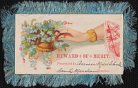             Reward of Merit          