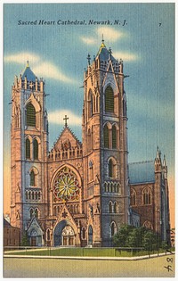             Sacred Heart Cathedral, Newark, N. J.          