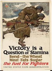             Victory is a question of stamina          