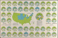             Election map of the United States with 49 novel diagrams          