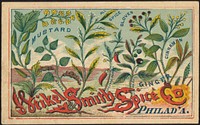             Weikel & Smith Spice Co., Philad'a. Mustard, all spice, cloves, cinnamon, pepper, cayenne pepper, numegs, mace, ginger          