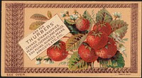             Ask for Thurbers' canned strawberries, peaches, cherries, pineapples, egg plums, quinces, pears, apricots, etc. etc.          