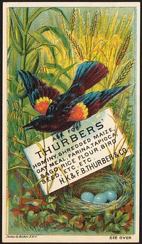             Ask for Thurbers' hominy, shredded maize, oat meal, farina, tapioca, sago, rice, flour, bird seed, etc. etc.          