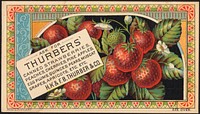             Ask for Thurbers' canned strawberries, peaches, cherries, pineapples, egg plums, quinces, pears, apricots, etc. etc.          