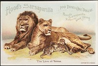             Hood's Sarsaparilla, 100 doses, one dollar. Hood's Sarsaparilla makes the weak strong. The lion at home.          