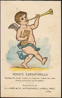             Hood's Sarsaparilla purifies the blood, creates an appetite, makes the weak strong, and builds up the system.          