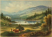             Loon Pond           by Robert D. Wilkie