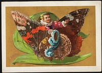             Boy riding butterfly sitting on a leaf          