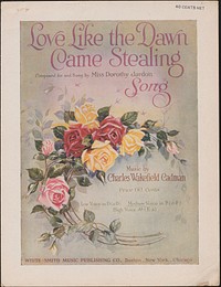             Love like the dawn came stealing : Composed for and sung by Miss Dorothy Jardon ; Medium voice in F (c-F)          