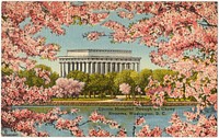             Lincoln Memorial through the Cherry Blossoms, Washington, D. C.          