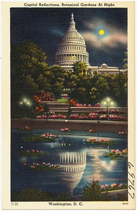             Capitol reflections, Botanical Gardens at night, Washington, D. C.          