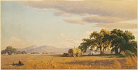             Harvesting near San Jose, California          