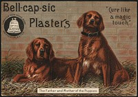             Bell-cap-sic Plasters, "Cure like a magic touch." The father and mother of the puppies.          