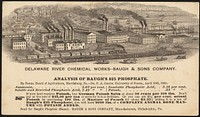             Delaware River Chemical Works - Baugh & Sons Company. Analysis of Baugh's $25 Phosphate          