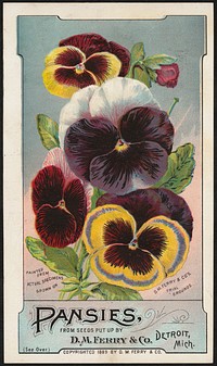             Pansies, from seeds put up by D. M. Ferry & Co., Detroit, Mich.          