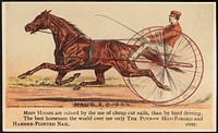             Maud. S, 2.10 3/4 - More horses are ruined by the use of cheap-cut nails, than by hard driving. The best horsemen in the world use only the Putnam hot-forged and hammer-pointed nail.          