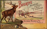             Buckeye mowers, droppers, table-rakes & binders.          