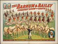             The Barnum & Bailey greatest show on earth : The latest novelty. Mr. John Ducander's 10 beautiful cream stallion's first time in America.          