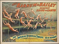             The Barnum & Bailey greatest show on earth : The imperial Viennese troupe, 15 in number          