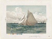             Sailboat          