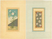             Daisies used in designs          