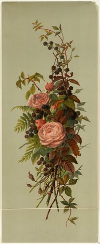             Roses and blackberries          