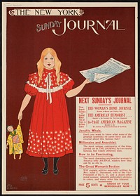             The New York Sunday journal          