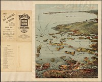             Bird's eye view of Boston Harbor and south shore to Provincetown showing steamboat routes          