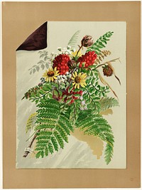             Flowers and ferns          