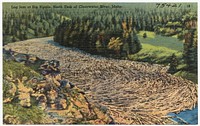             Log jam at Big Ripple, North Fork of Clearwater River, Idaho          