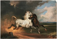             Horses in a storm          