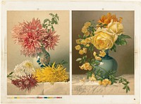             Chrysanthemums and Mareshal Niel Roses          