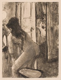  Edgar Degas's The Bidet