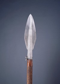 Hunting Spear