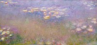 Claude Monet's Water Lilies